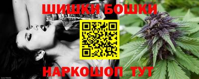 индика Рыбинск