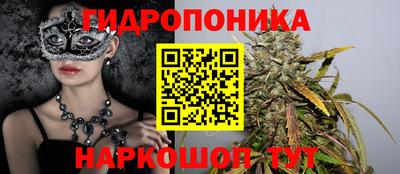 индика Рыбинск