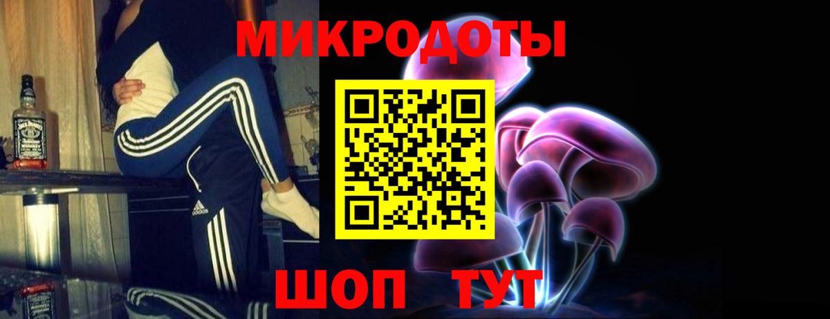Петрозаводск  Галлюциногенные грибы прущие грибы  Вход с VPN  Галлюциногенные грибы мухоморы 
