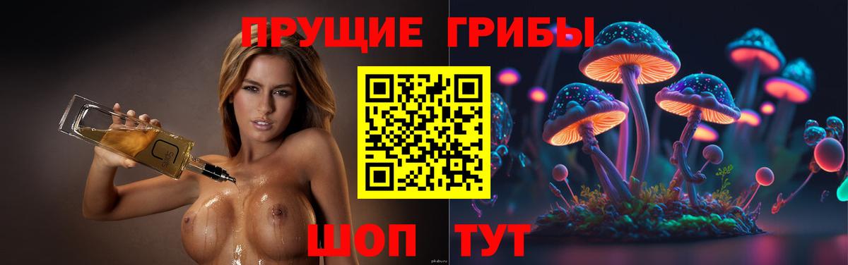 Галлюциногенные грибы мухоморы Петрозаводск
